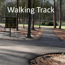 walking-track